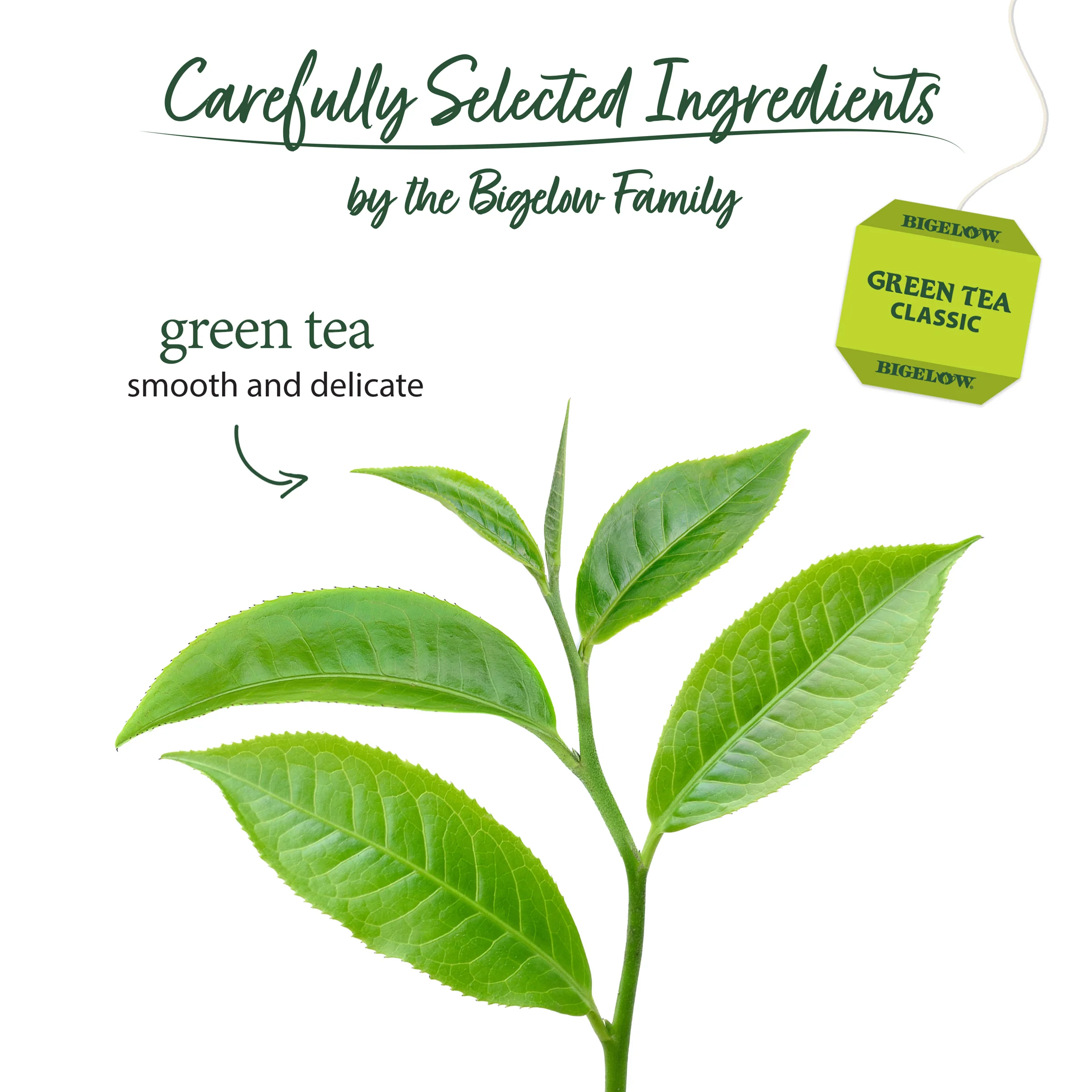 Green Tea - Image 3